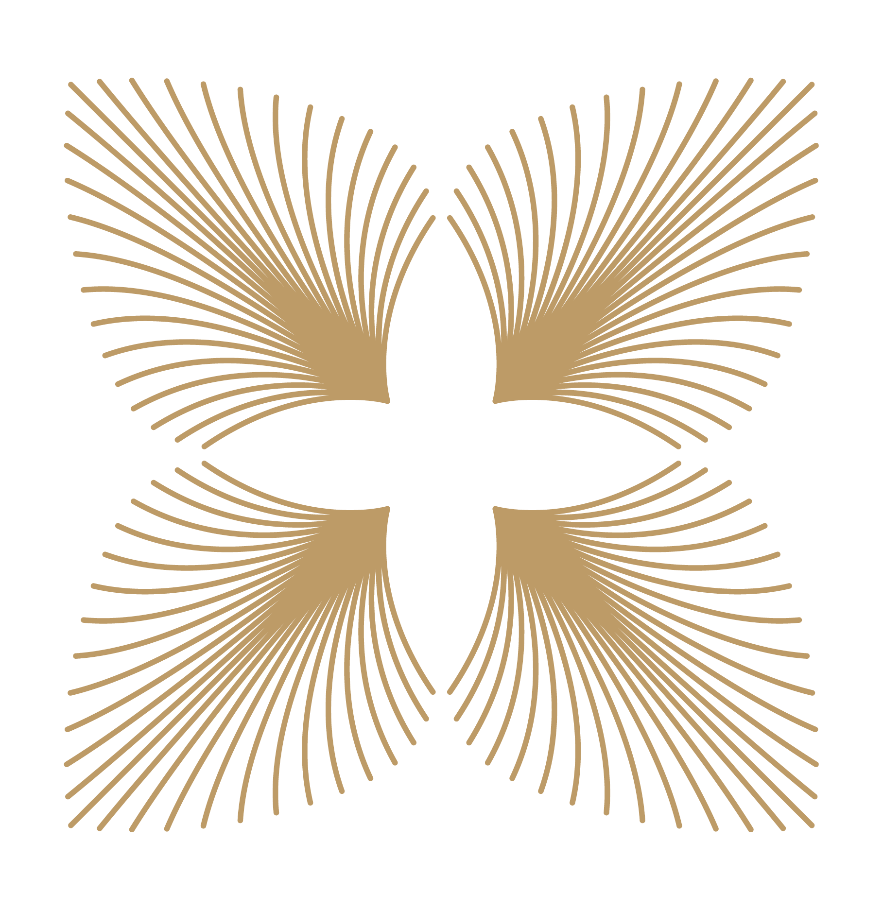 Symmetrical fan-like pattern graphic design